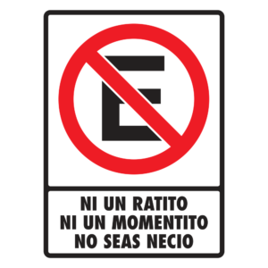 Modelo 081