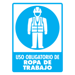 Modelo 113