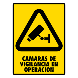 Modelo 137