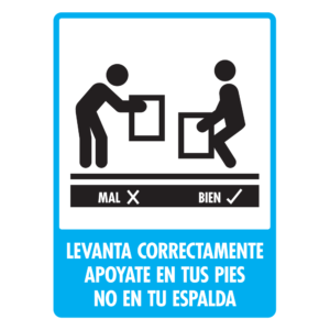 Modelo 166