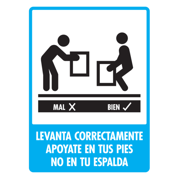 Modelo 166
