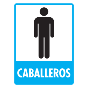 Modelo 236